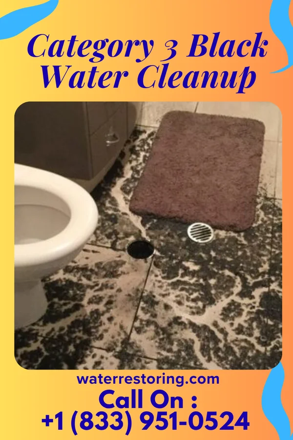 Category 3 Black Water Cleanup in New Douglas, IL
