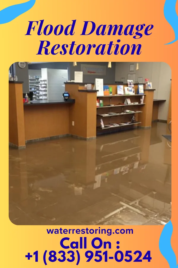 Flood Damage Restoration in New Douglas, IL