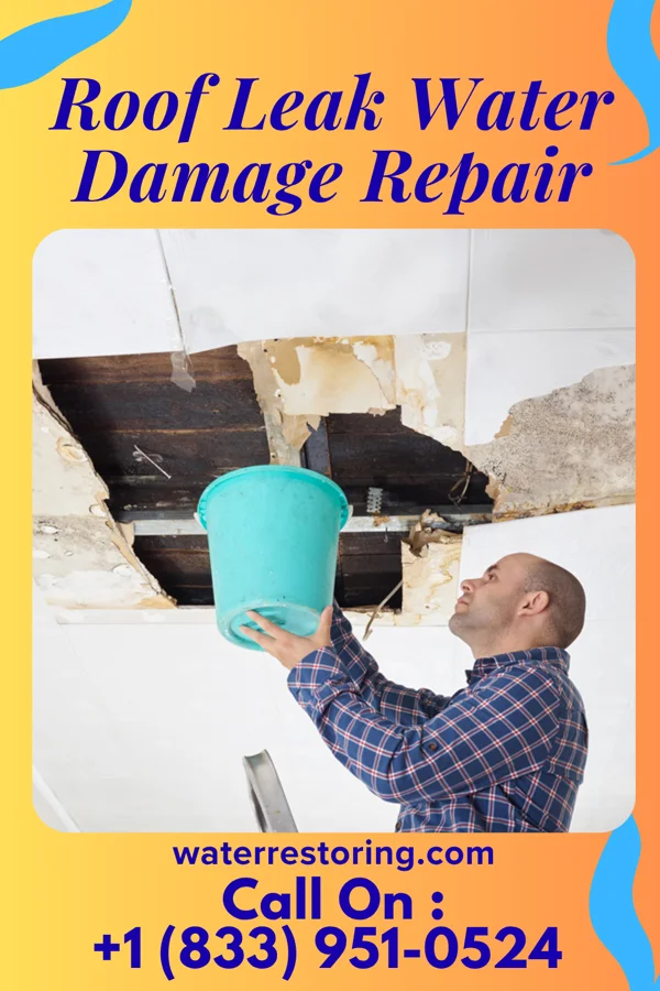 Roof Leak Water Damage Repair in New Douglas, IL