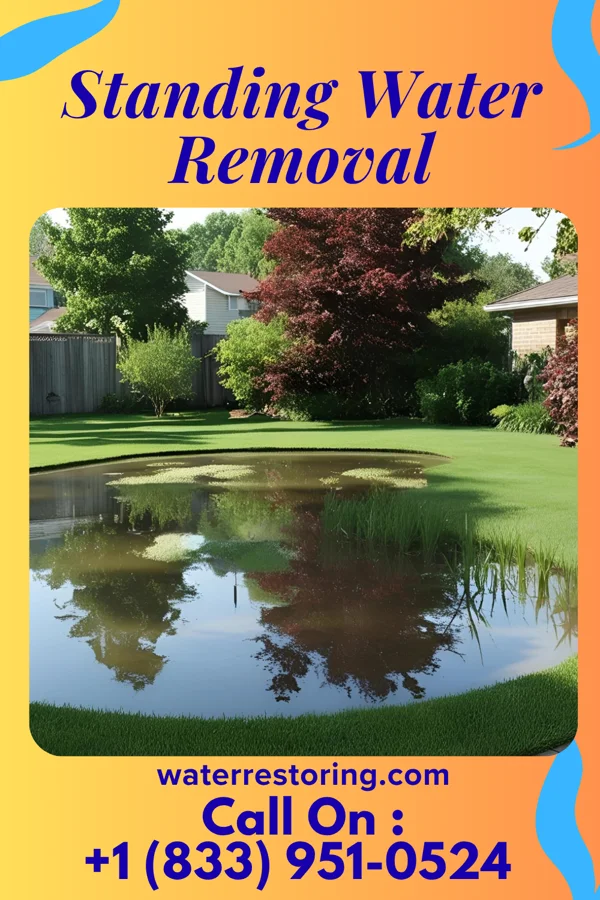 Standing Water Removal in New Douglas, IL